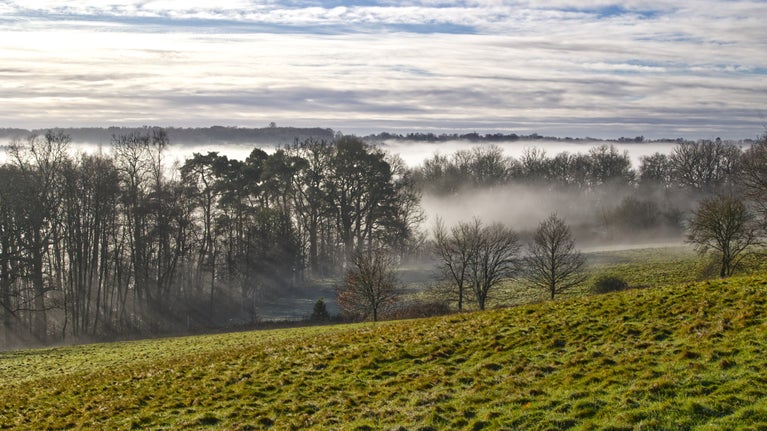 Misty Morning seen from the Upper Terrace at Standen